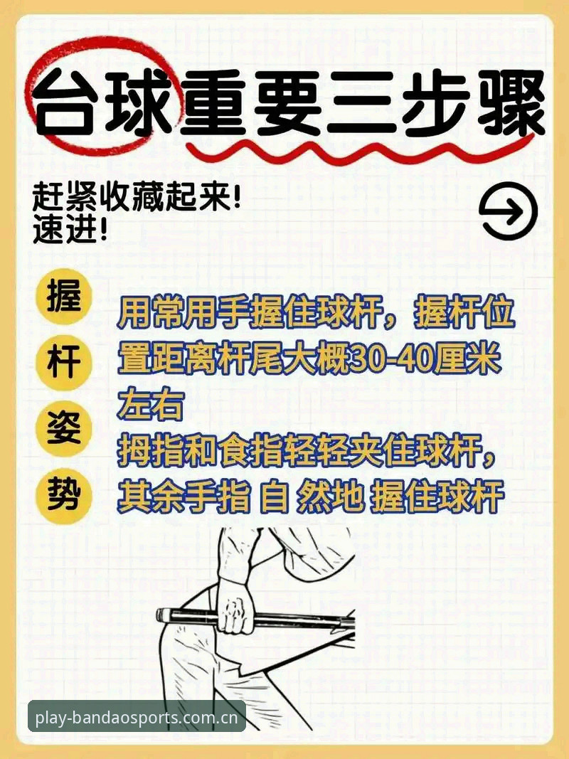 半岛体育稳定专业必备操作教程：从安装到实战的全流程指南